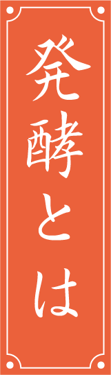 発酵とは